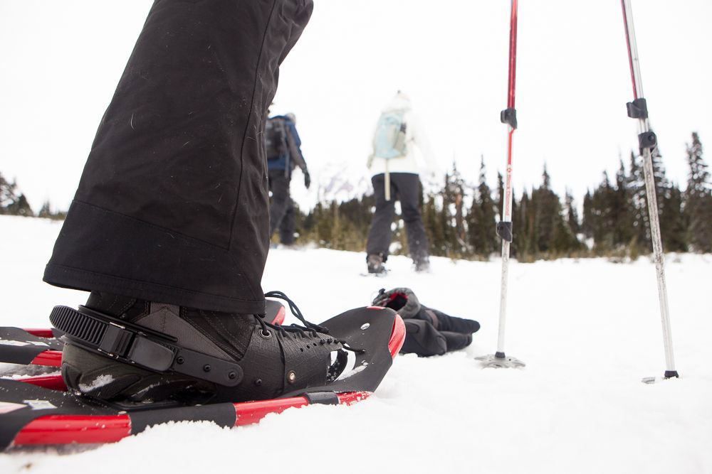 snowshoes