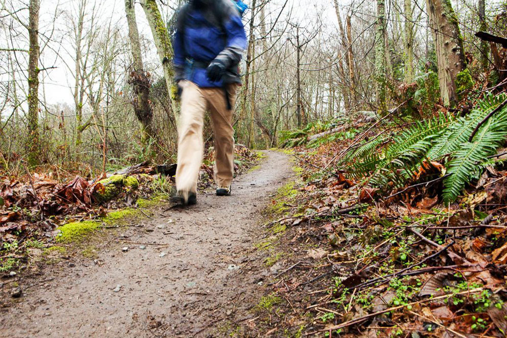 Spring-Hiking