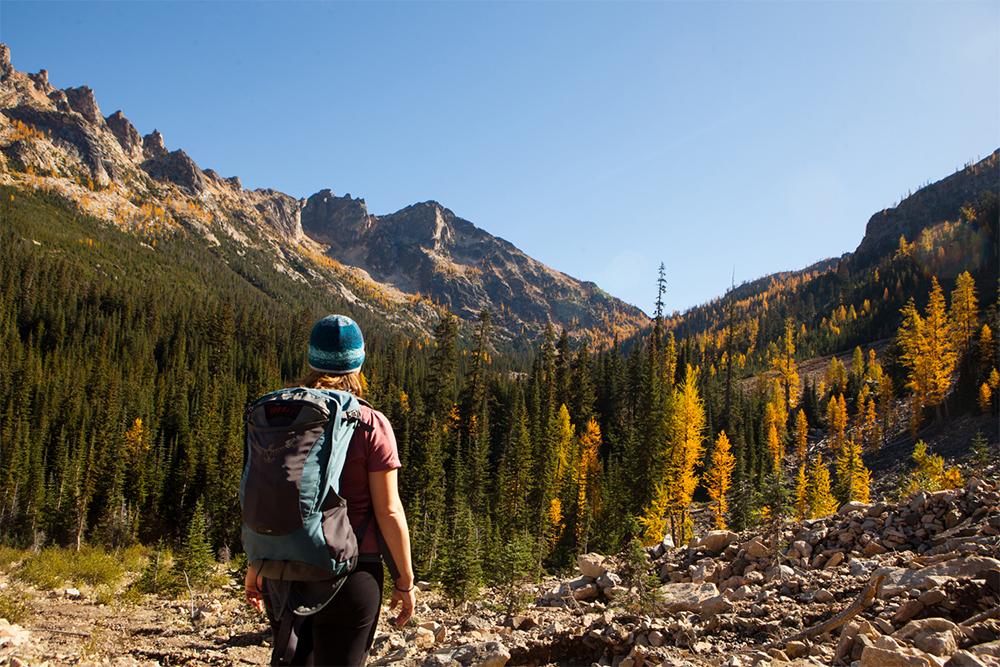 Autumn’s True Gold Hiking to See Washington’s Alpine Larches-alpine larch hikes
