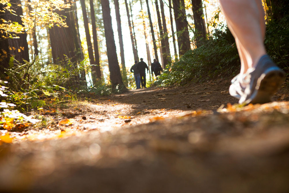 Fall Hikes in Washington fall adventure close to Seattle