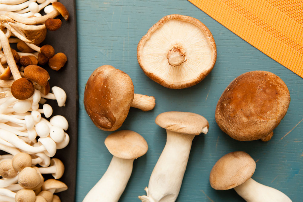 Northwest Fall Produce Mushrooms
