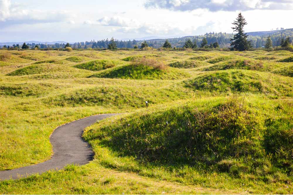 natural wonders of the northwest mima mounds